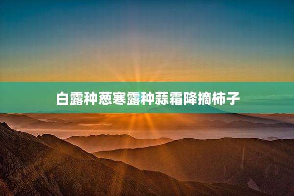 白露种葱寒露种蒜霜降摘柿子