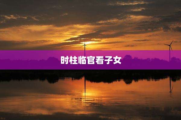 时柱临官看子女