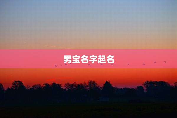 男宝名字起名