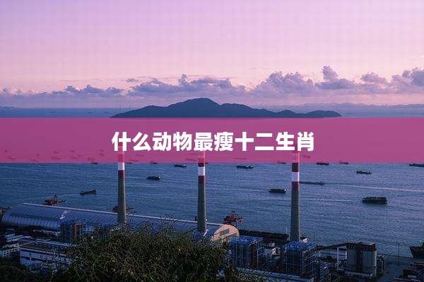 什么动物最瘦十二生肖