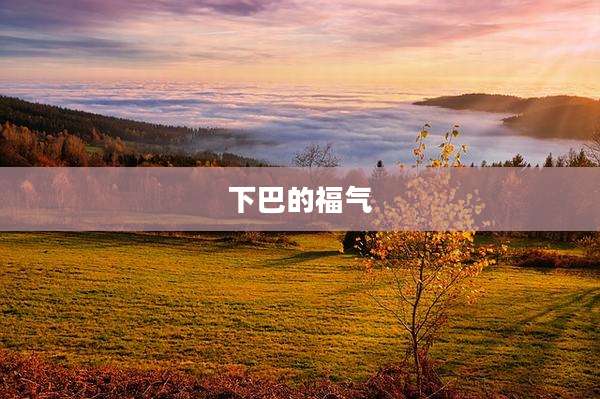 下巴的福气
