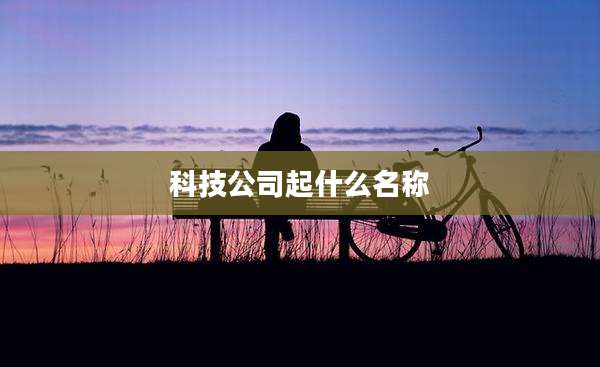 科技公司起什么名称