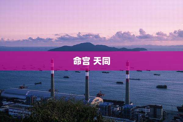 命宫 天同