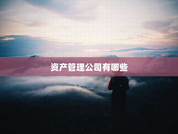 资产管理公司有哪些