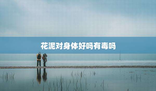 花泥对身体好吗有毒吗