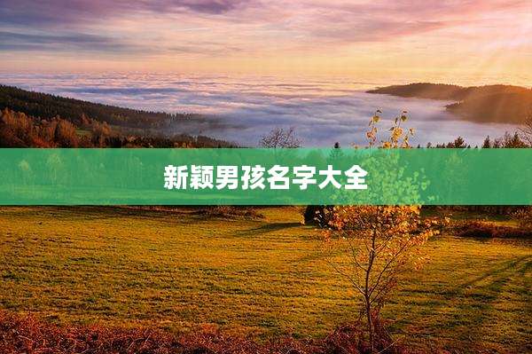 新颖男孩名字大全
