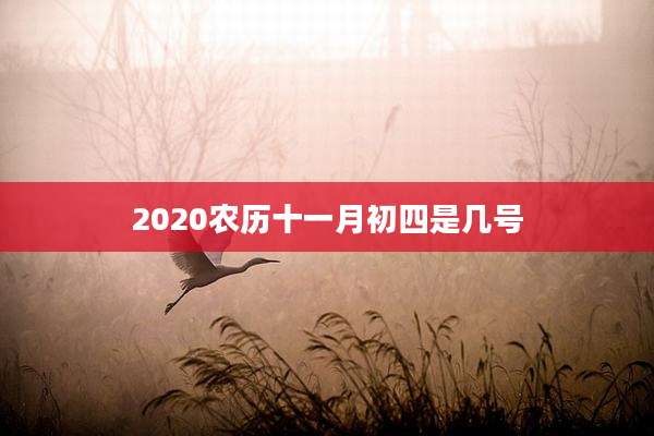 2020农历十一月初四是几号