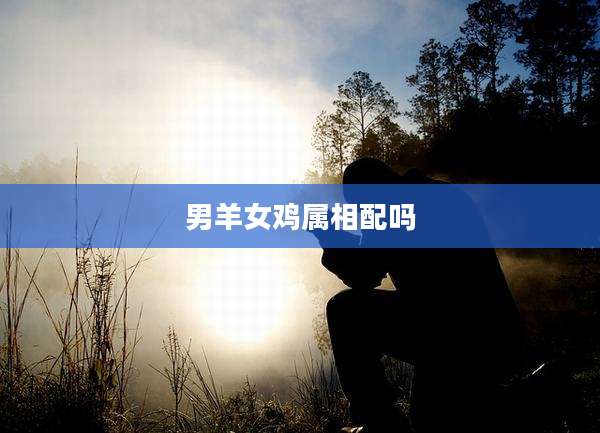 男羊女鸡属相配吗