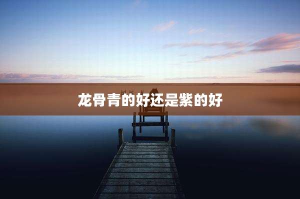 龙骨青的好还是紫的好