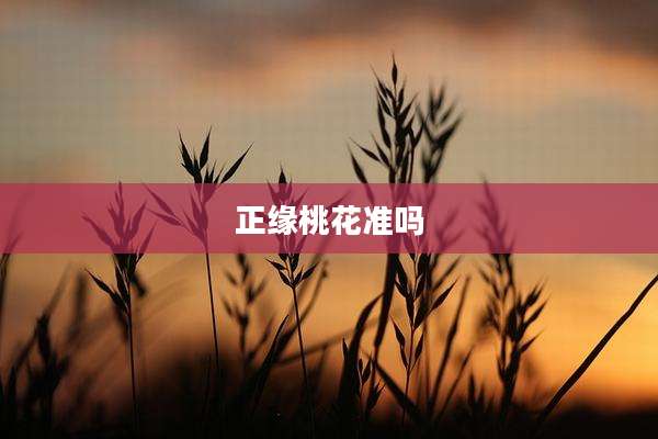 正缘桃花准吗