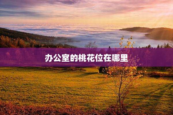 办公室的桃花位在哪里