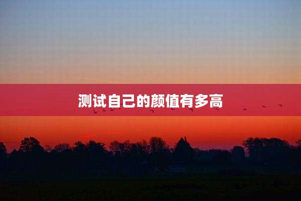 测试自己的颜值有多高