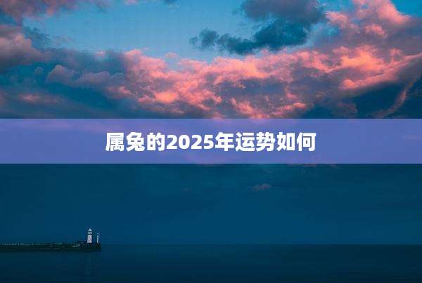 属兔的2025年运势如何