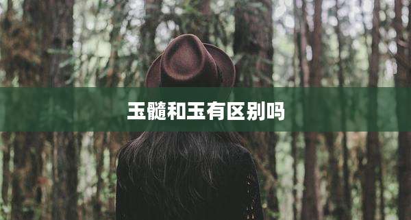 玉髓和玉有区别吗