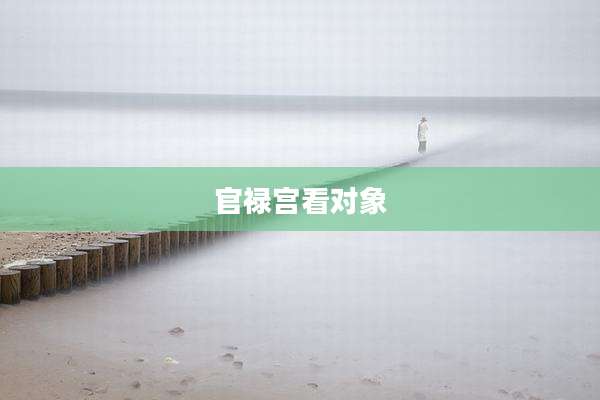 官禄宫看对象