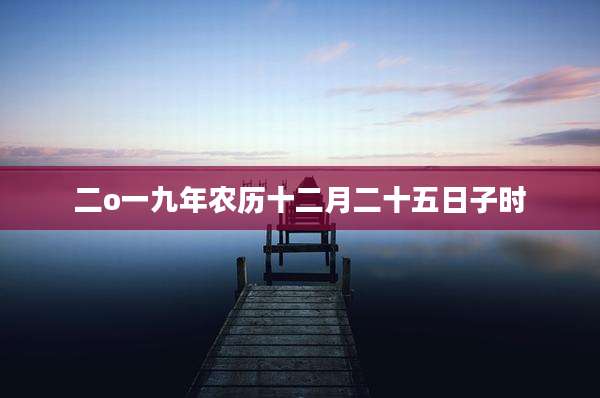 二o一九年农历十二月二十五日子时
