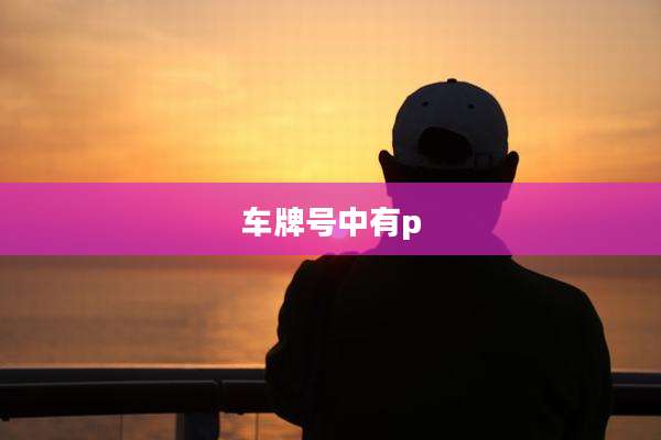 车牌号中有p