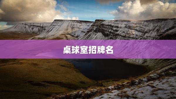 桌球室招牌名