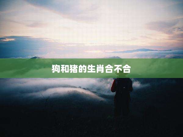 狗和猪的生肖合不合