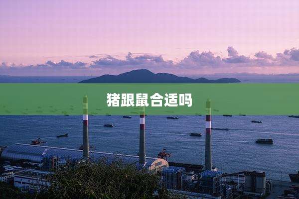 猪跟鼠合适吗