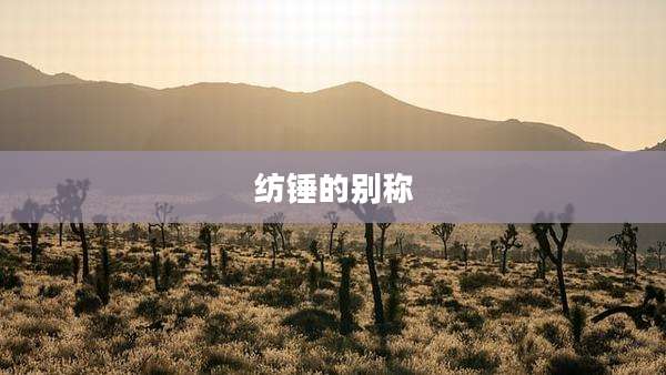 纺锤的别称