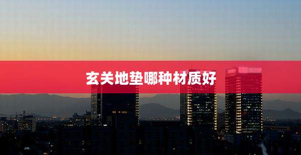 玄关地垫哪种材质好