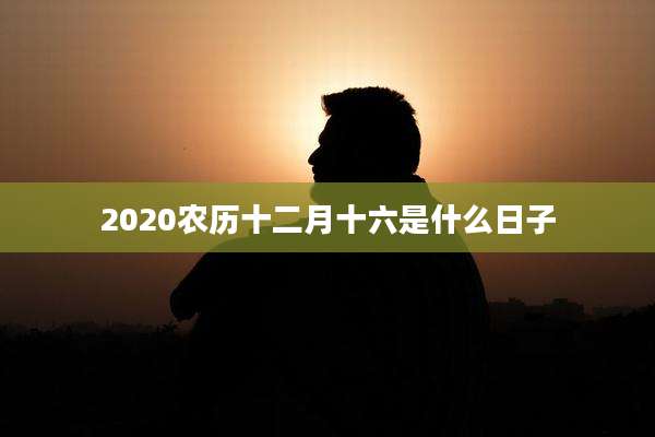 2020农历十二月十六是什么日子