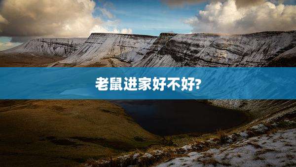 老鼠进家好不好?