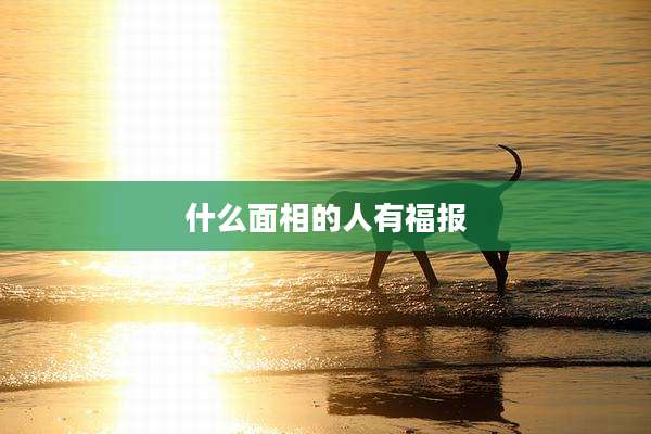 什么面相的人有福报