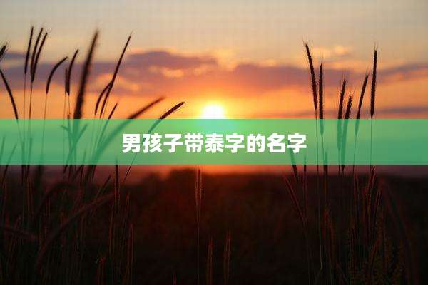 男孩子带泰字的名字