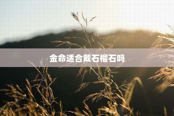 金命适合戴石榴石吗
