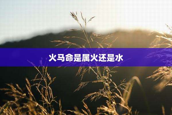 火马命是属火还是水