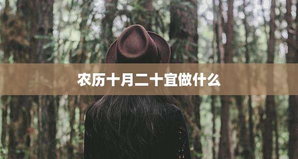 农历十月二十宜做什么