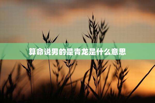 算命说男的是青龙是什么意思