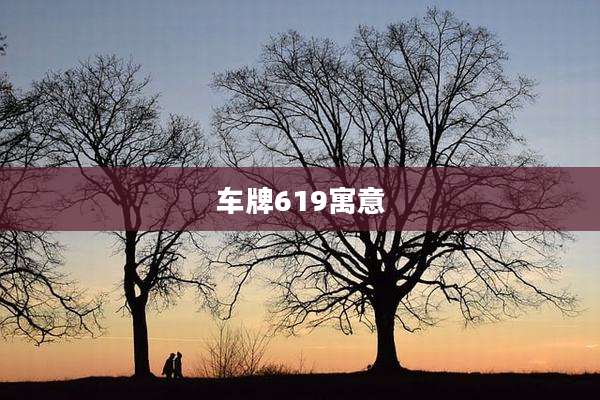 车牌619寓意