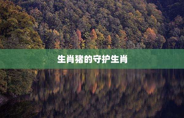 生肖猪的守护生肖