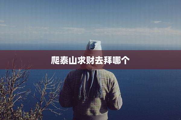 爬泰山求财去拜哪个