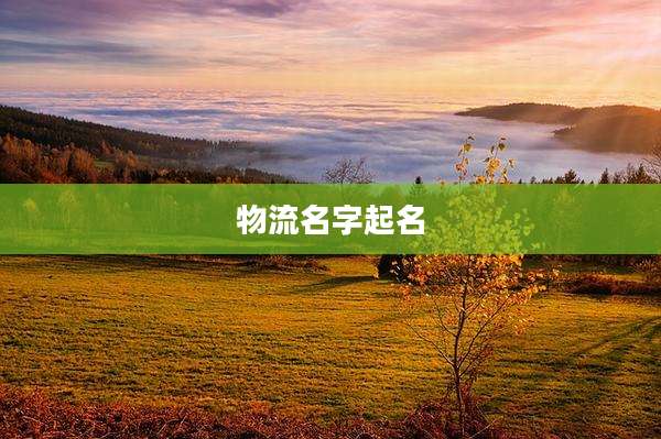 物流名字起名