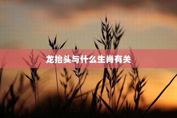 龙抬头与什么生肖有关