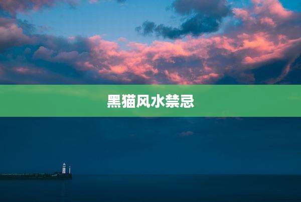 黑猫风水禁忌