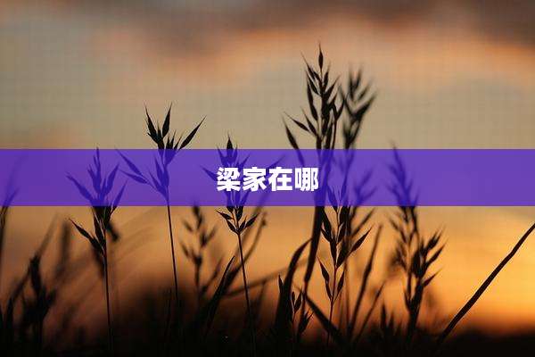 梁家在哪