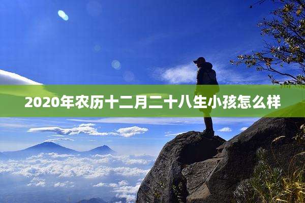 2020年农历十二月二十八生小孩怎么样
