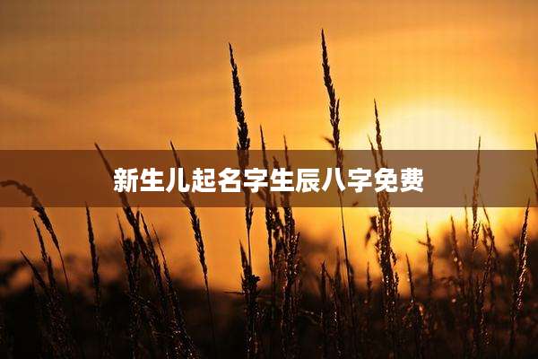 新生儿起名字生辰八字免费
