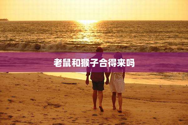 老鼠和猴子合得来吗