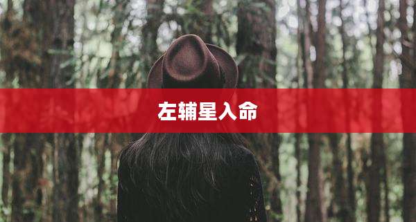 左辅星入命