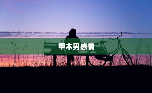 甲木男感情