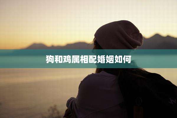 狗和鸡属相配婚姻如何