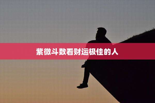 紫微斗数看财运极佳的人