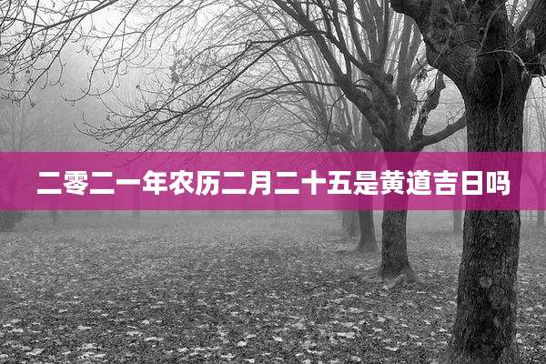 二零二一年农历二月二十五是黄道吉日吗