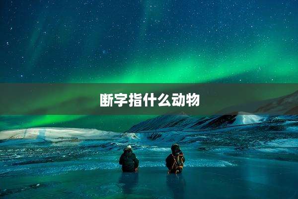 断字指什么动物
